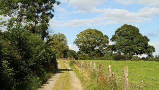 Feldweg im County Wicklow (Foto: Eric Paul)